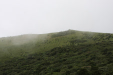 비로(毘盧)의 세계에 머물다