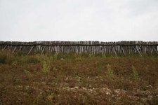 대관령을 지나다