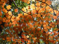 점봉산에 마음 내려놓고