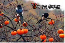 임대완료! 영업中 4천만원투자처
