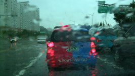 자전거, 목숨 걸고 타라