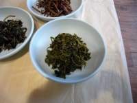 지리산이 내린 선물 - 정영환 산나물