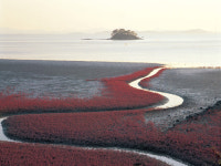 꽃피는 3월의 국토학교 순천만에서 섬진강으로