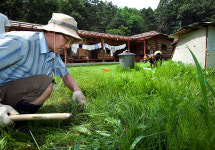 시골 이장이 된 경영학 교수 "