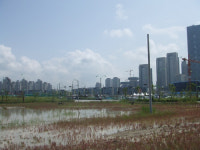 김연아가 30억 투자한 명품거리 커넬워크도 황량한 사막