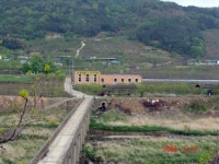 감 중의 감 - 청도 이준수 반건시