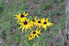 태풍 무이파가 안겨준 뜻밖의 선물