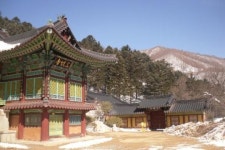 새해, 산의 지혜가 그리우면 오대산에 오르세요