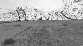 소년원 아이들 사진작가 되던 날
