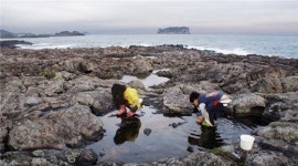 강정마을 사람들과 자연의 끈질긴 도전 ①