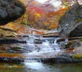 절정의 아름다움, 피아골 단풍에 물들다