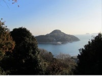 동백의 섬 지심도, 원시림의 섬 내도