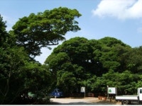 남해의 모스크바...아름다운 소안도 가요