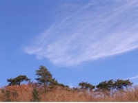 산사의 봄 향기 흠뻑...김천 별미 지례 흑돼지불고기 맛본다