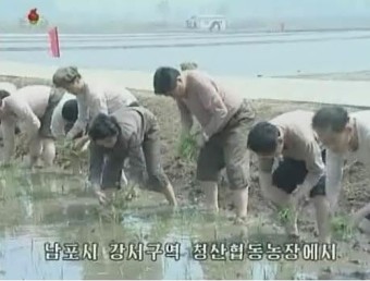 대남 위협 북한, 대대적인 '모내기 전투' 돌입