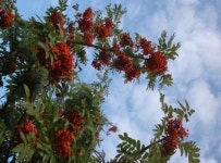 가을 울릉도...황홀경에 빠지다