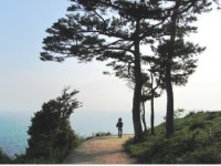 동백꽃 핀다, 황금자라의 섬 <비렁길> 걸을 때다