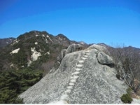 봄의 으뜸경치 성북동천