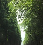 영남사림의 산실 선산고을