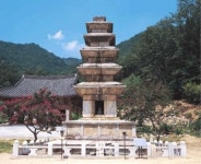 영남사림의 산실 선산고을