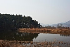 명랑법사의 우물과 원원사