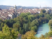 진정한 힐링이란? 이젠 산림복지다