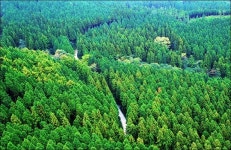 구공탄은 박정희보다 강했다