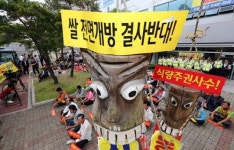 쌀개방 일주일 앞두고 법원이 제동 걸었다