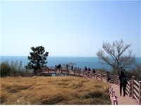 황홀함을 겨루다, 금오도·향일암·오동도