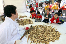 중국산 한약재가 더 좋을 수도 있다
