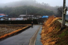 뭣 땜시 우리를 죽인다요!…애엄마가 살렸다