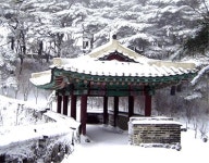 한겨울의 정취! ‘회한의 산모퉁이’를 걷다