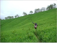 백두산의 봄! 화려한 야생화길 걸어요