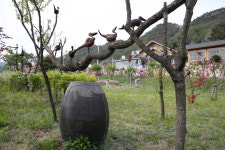 인제 신종국 작가, ‘운채’ 솟대공원 각광