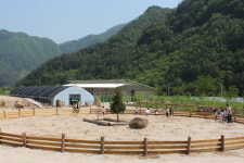 정선, 아기동물농장 25일 개장