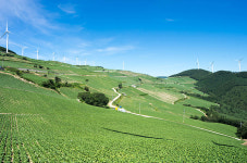 태백시, 전국서 ‘가장 시원한 도시’로 각광