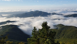 태백사랑상품권, 더블 포인트 적립 이벤트 실시