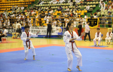 동해시, 제8회 동해무릉기 강원학생태권도 대회