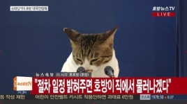 노회찬 박근혜, 난 여전히 대통령…임기 채울 것