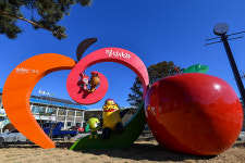 정선군, ‘정선사과’ 대형 조형물 설치