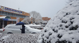 태백시, 꿈과 희망이 샘솟는 ‘자원봉사자 대회’ 개최