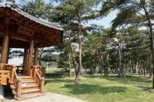 사천시 정동면, 대곡숲 동지축제 개최