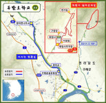 봄맞이! 화엄사 홍매화와 섬진강 벚꽃 순례