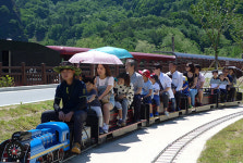 하이원추추파크 사장 ‘재공모’