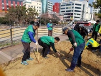 김해시 삼안동행정복지센터, ‘함께 가꾸는 우리동네 꽃길’ 조성사업