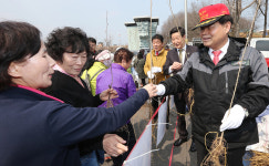 동해시, 나무 나누어주기 행사