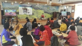 하동야생차박물관 茶 문화 체험객 북적