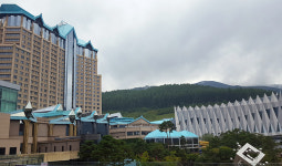 강원랜드 호텔서 40대 자살