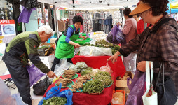 정선 ‘임계사통팔달시장’ 개장