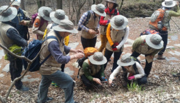 태백산국립공원, 야생화 ‘시민과학자’ 운영